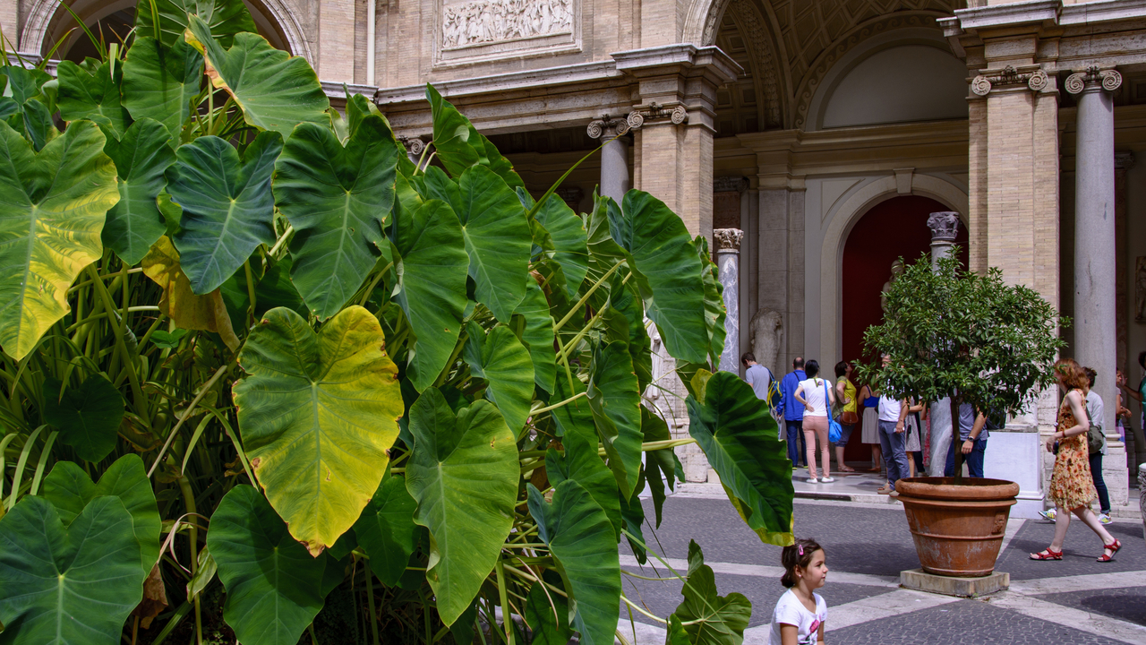 20150904-122532••••Vatican City